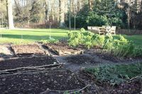 Aanleg van verhoogde plantvakken. Alleen de boerenkool staat nog