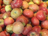 Appels