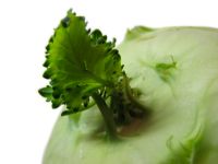 Koolraab