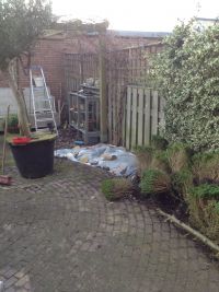 De 'oude ' tuin in februari 2014