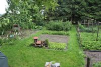 Overzicht linker kant van de tuin