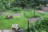 Overzicht middenstuk van de tuin