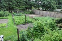 Overzicht rechter kant van de tuin