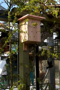 Insekten lokken met een hotel!