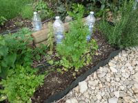 Kruidentuin met waterverdampers