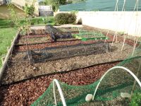 Zaaigoed afdekken tegen de vogels